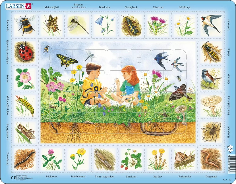 Jigsaw Puzzle Nature Forest 48 pieces